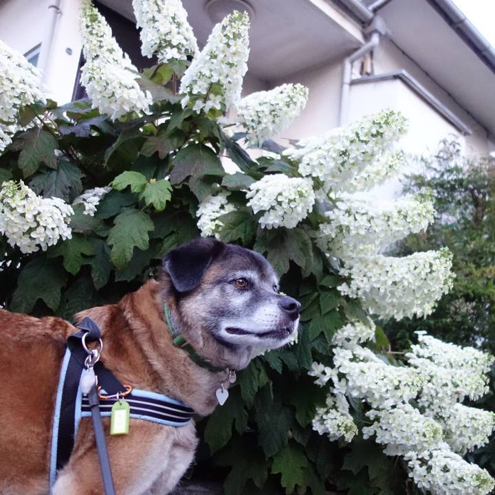 132e6a4d 7759 44fd 8e7e 47b7b928e543 1748168260059