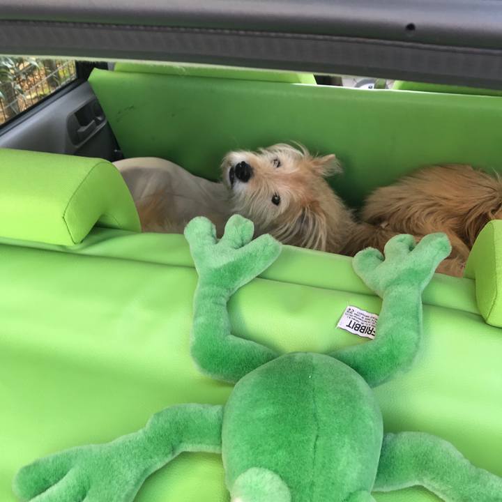 132e79e5 958d 4ea9 9267 9fcbf0151004 1550892715349