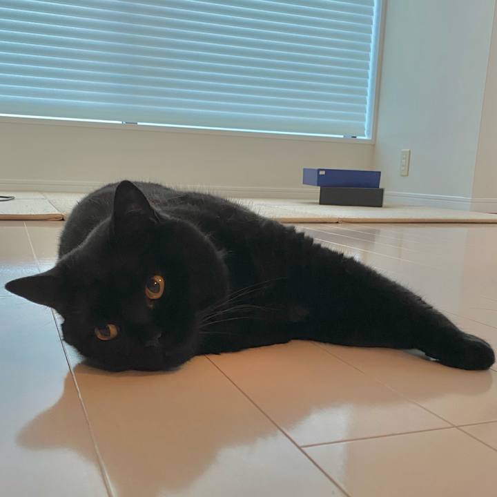 132ebdc5 0172 4a8b bf56 9e2be1e2bb51 1657187116450