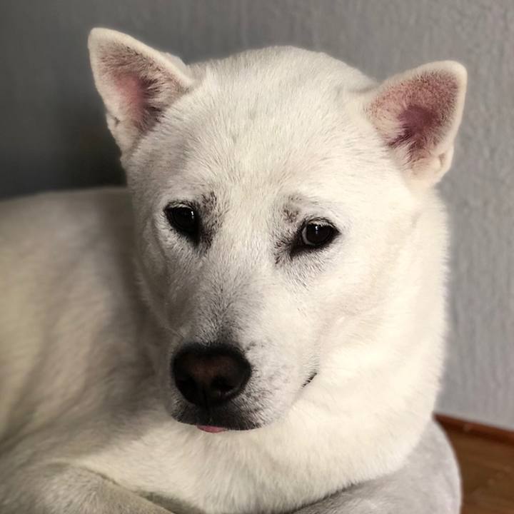 132ed4b4 ebda 4137 af88 6e86db758f2b 1559606239690