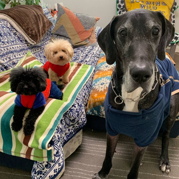 132f004d 15f6 4b63 a3e8 772b4ce0399e 1577400022277