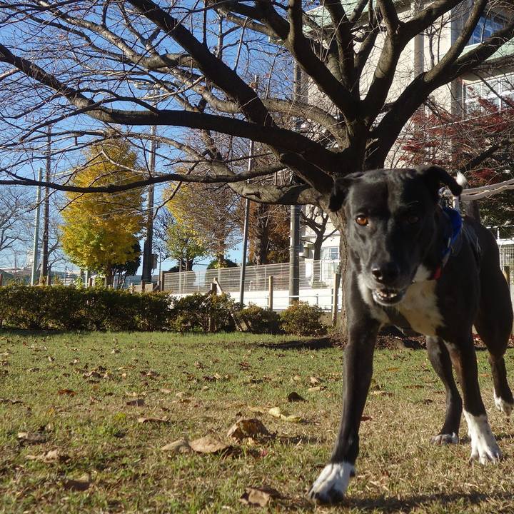 132f0564 0422 4d53 a94a 4f1807cedcb3 1638060712843