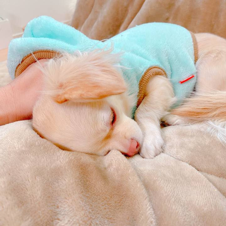 132f158f 85e6 42c8 ab93 7b2a599baf07 1640262029654