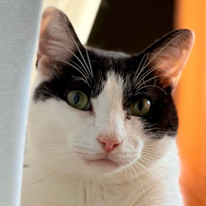 132f19f6 6cf6 4966 8b1b dc0f382446b6 1730164395614