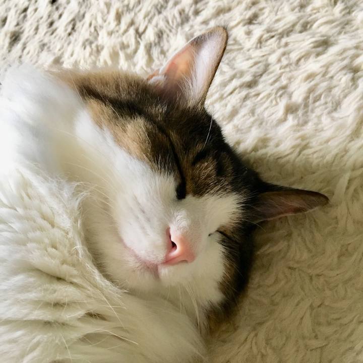 132f681b 04fc 4468 8e35 156a5b5d2ac0 1538787752793