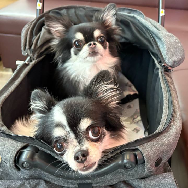 132f8756 1542 4c17 b0c7 c88d61942be7 1759303540356