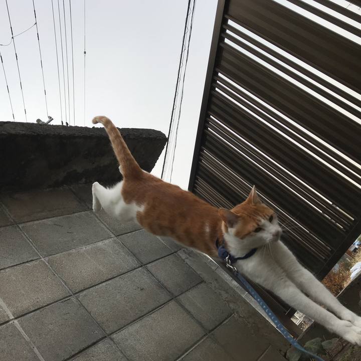 132f9257 2ef5 4713 b6da bd8eac9f371a 1512357200713