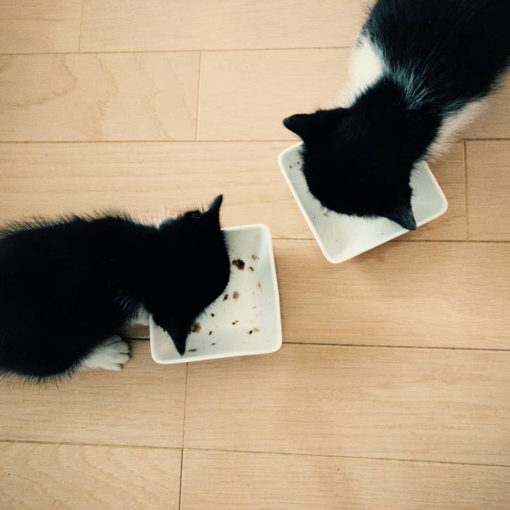 132fad6e 0387 49b1 9e4d d75e52be7b03 1760480719524