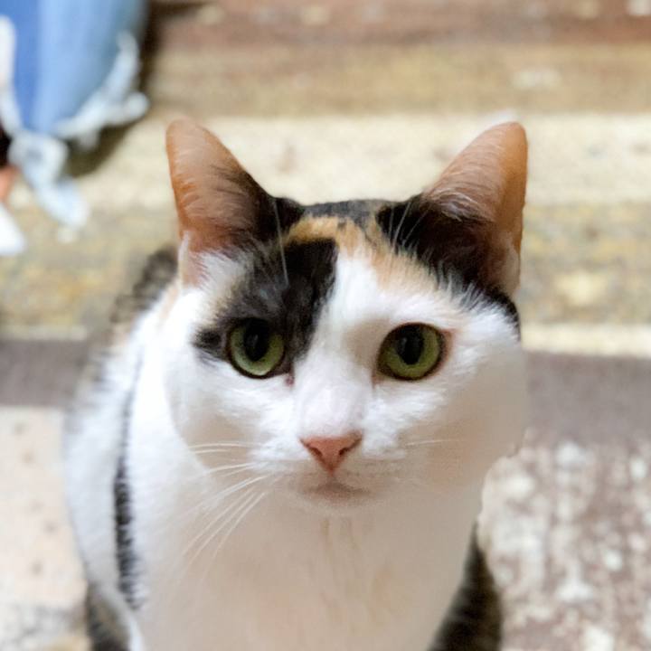 132fd069 687d 407c 8ae5 3018255d91ee 1591236475657