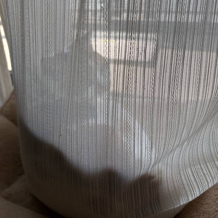 132fe423 a9c5 4875 ae8b cef66f18a333 1772942236145