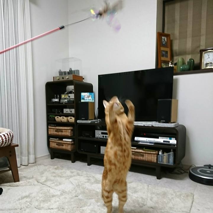 132feb2c bc52 4f25 b936 4acfc974ec16 1553728307629