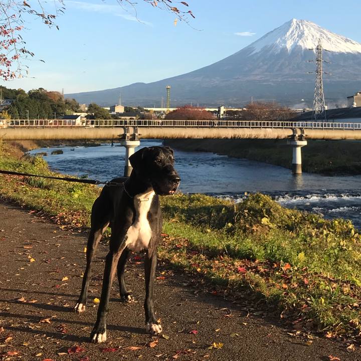 13305be0 f568 48c2 a04e b17b5563b70d 1511654034411