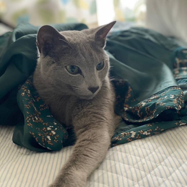 13308042 bb22 4f07 b277 b613183fd0ea 1685315018367