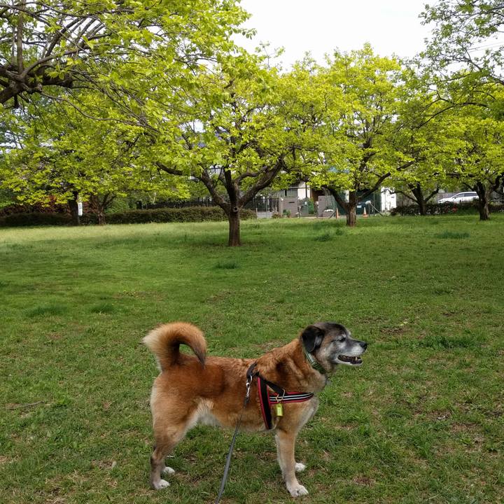 1330ac51 f521 484f a3b1 35e33a628172 1523867556647