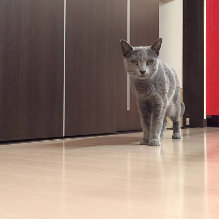 1330c6b2 9d67 45eb 89b7 78135cf48ff4 1555369818501