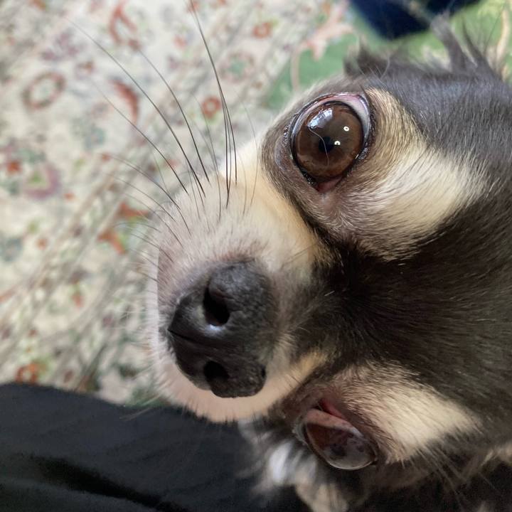 1331192f 8b59 4df4 ba30 f6f89b9196f9 1652534379435