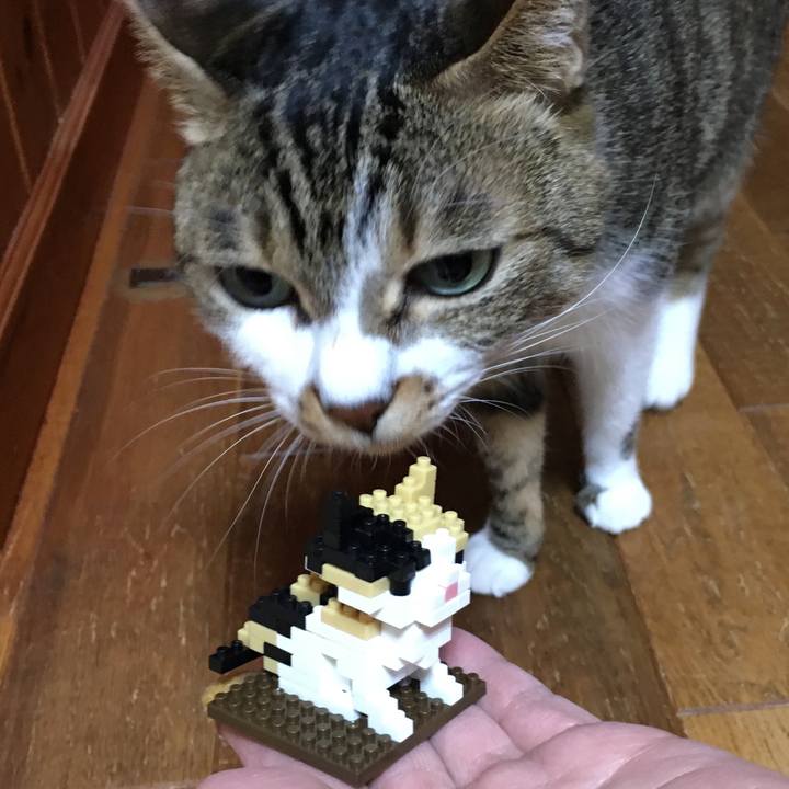 133130da 0e05 4167 ad5f ff2f146db82c 1511608035730