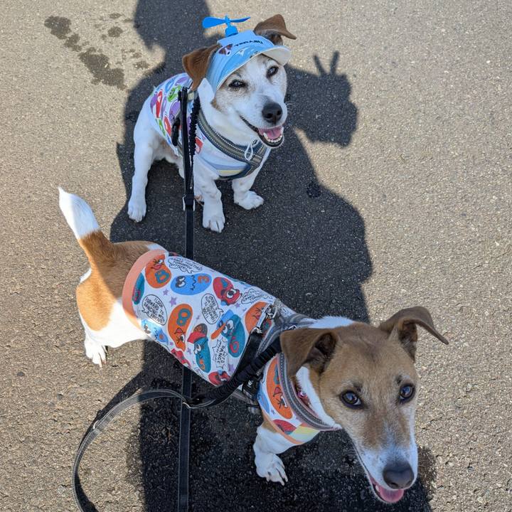 133141ee 78f1 421f 8e5d 36eb4a6e4bbc 1776844897076