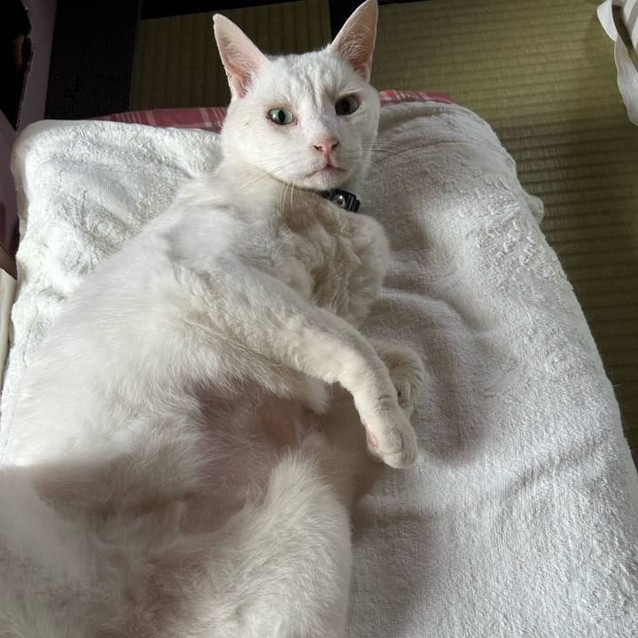 13315326 6035 4c0e b3d1 db2988954529 1687816629662