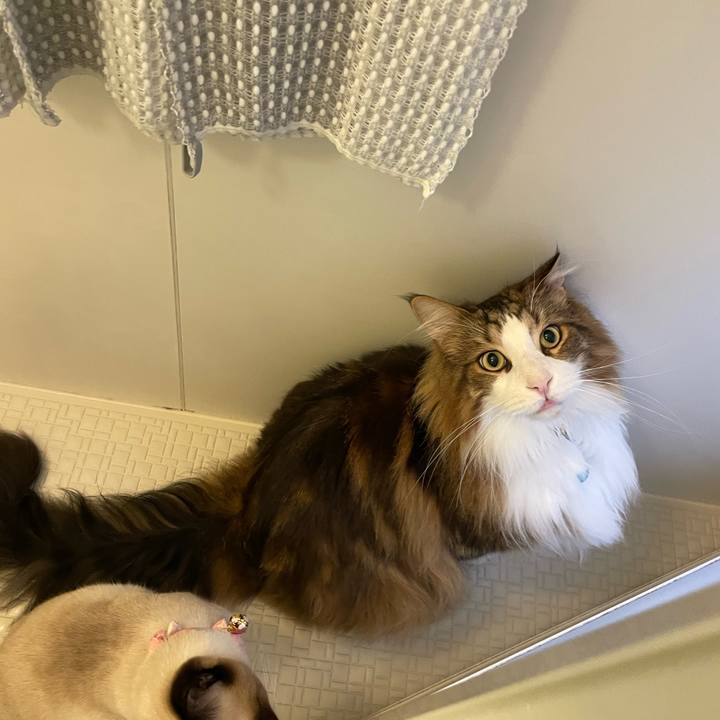 1331615c 8308 41a7 8afd 7218b54e98de 1713815257938