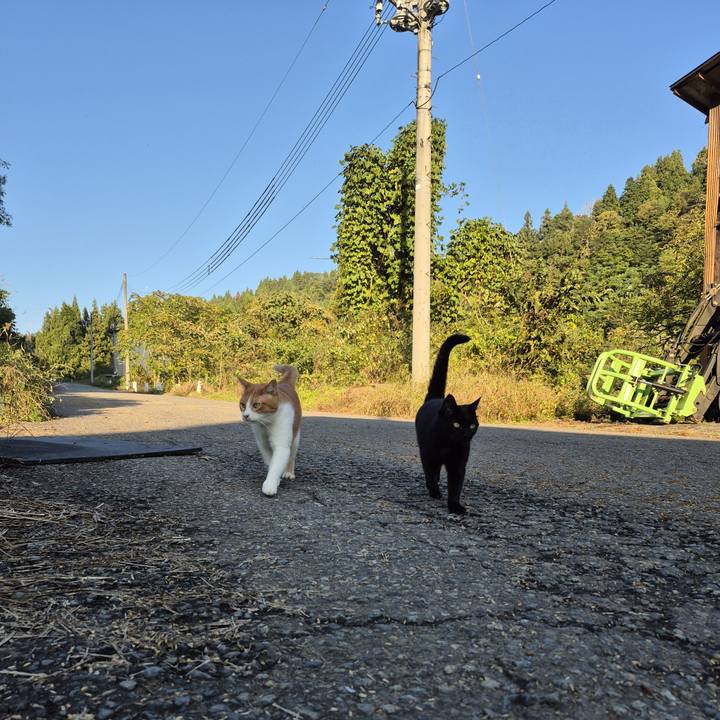 13317a54 be13 46ae 8073 be7df058c690 1761846736693