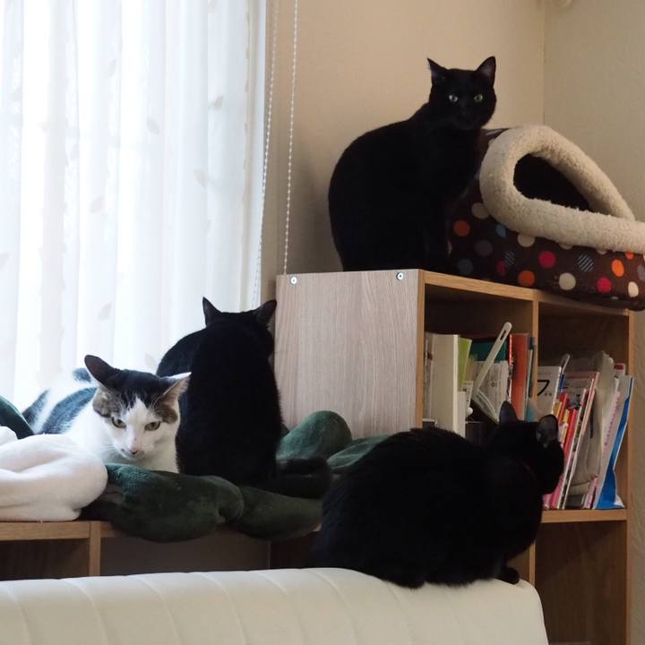 13317fba 6a64 41c0 af56 e22d4e9fde0e 1547163482188