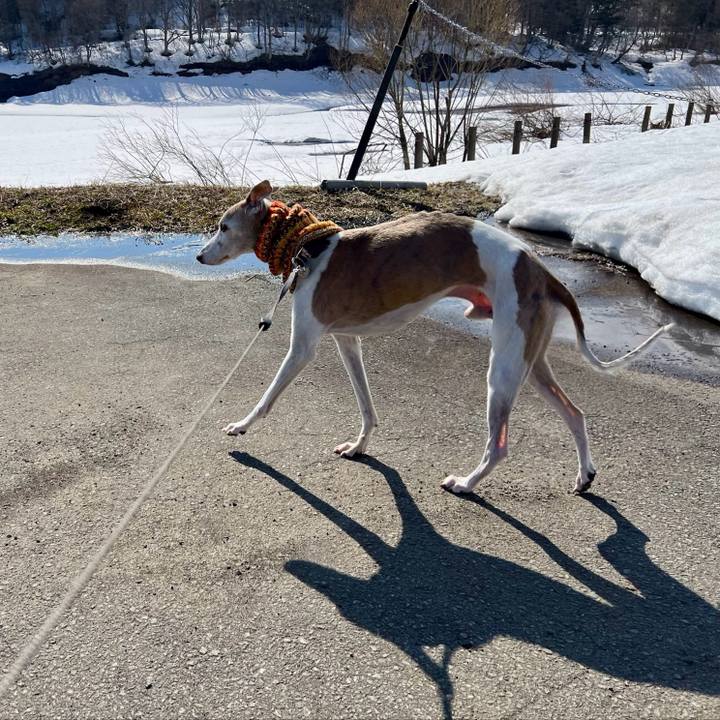 13319600 5a3e 415a 97c9 ad337a243f9c 1773650637950