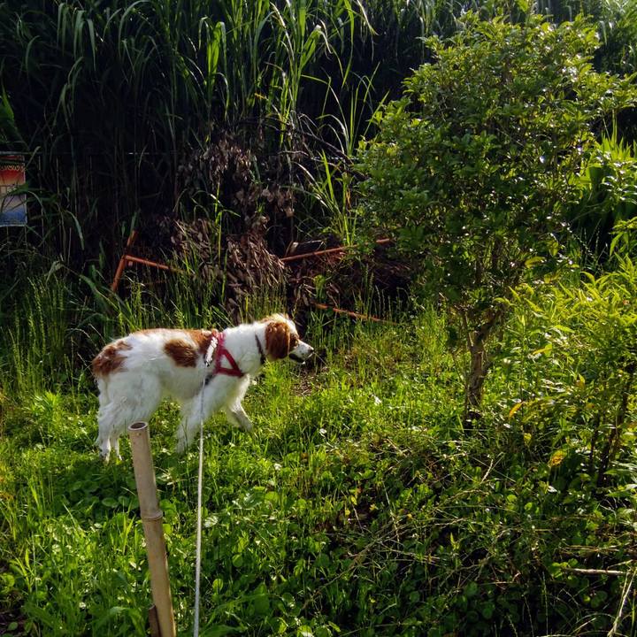 13319b1a 2b21 4a57 b5d8 d9f9c5882f3c 1561418294588