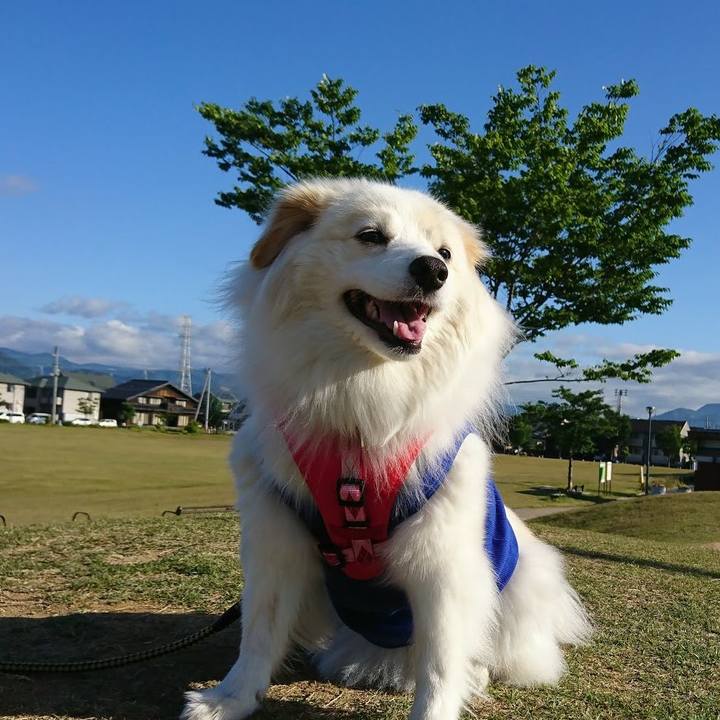 1331bb28 a147 4083 a010 69876b912af6 1508132296302