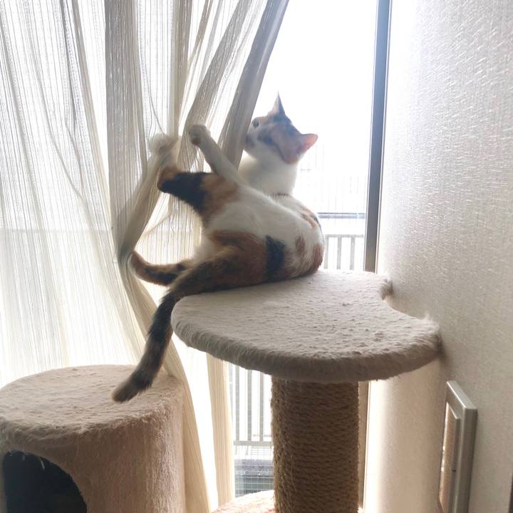 1331d9cf d021 41f6 9335 257a1db0ff02 1592019727962