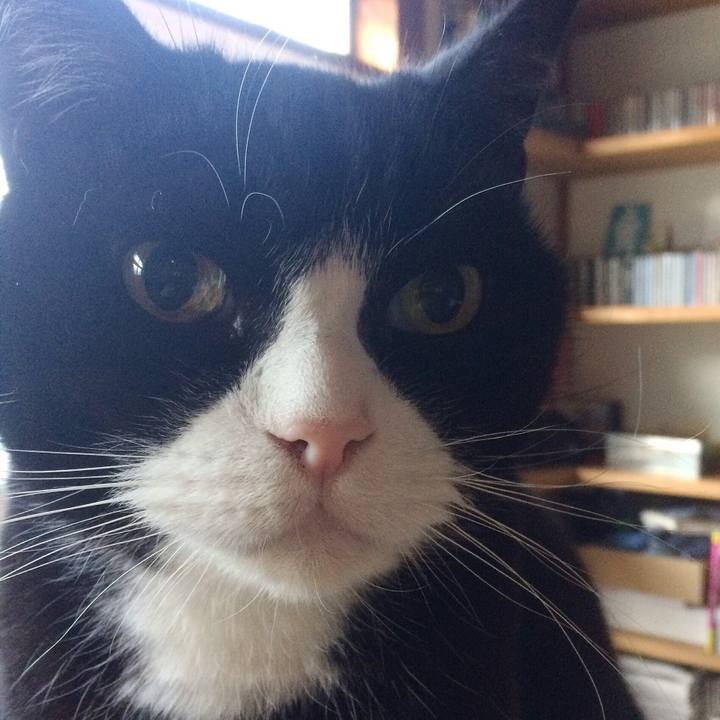 1331df53 fa4b 49a5 8188 303a433afdc0 1513558400134