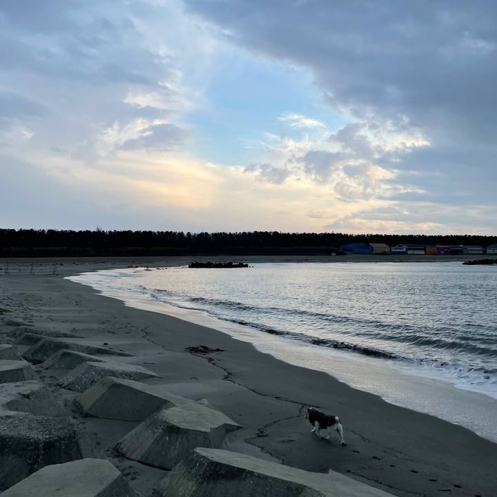 1331e208 1afe 47cd a115 cef66b52a356 1611820703661