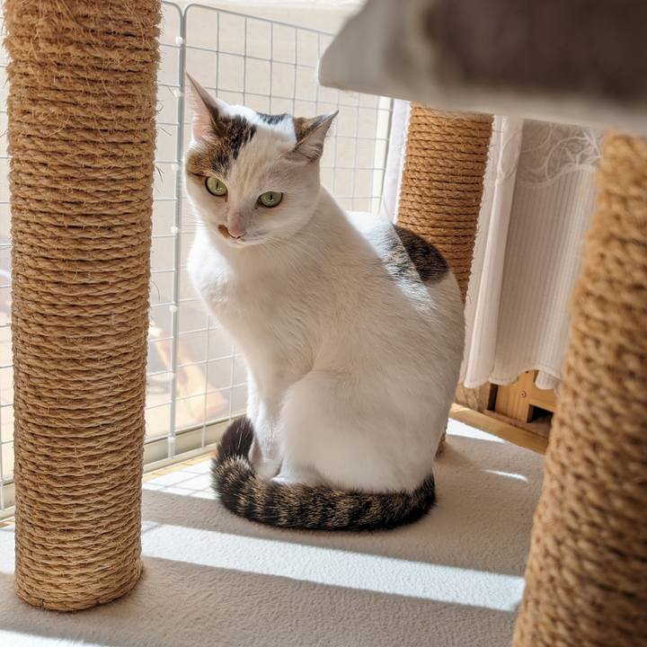 1331e9f4 1cb0 4048 8700 aa1925ef2c3e 1711511828656