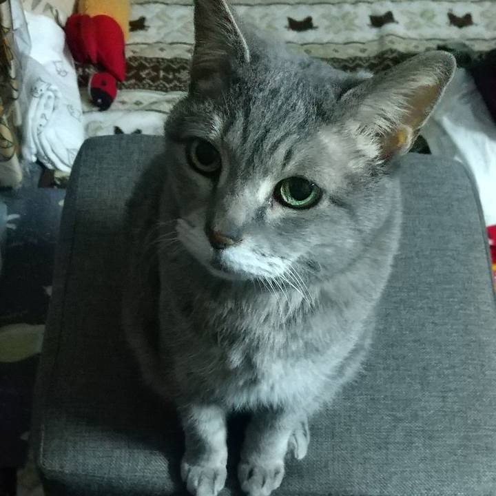 1331ea8a 13cb 4848 992f 7c13a086bda0 1680926659883