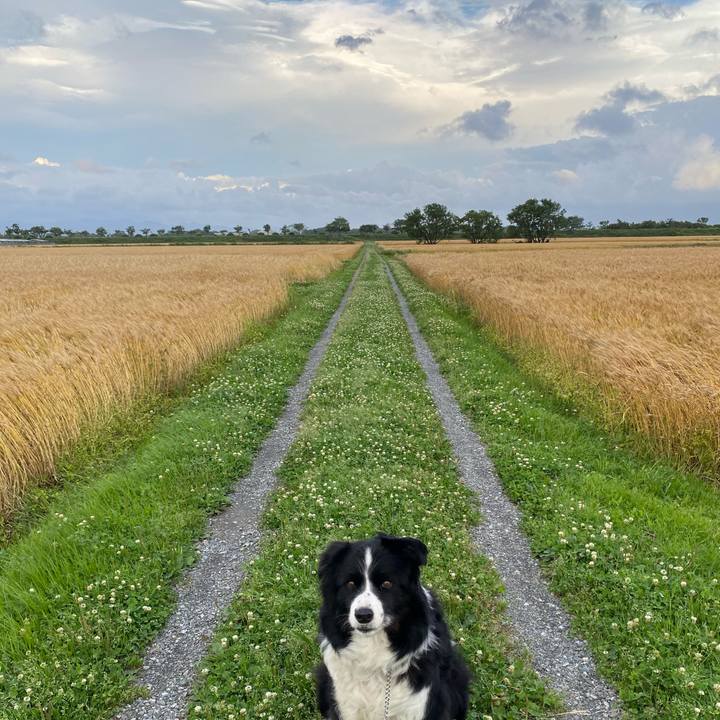 13320283 bb0c 4f8a bcfe 22865fb6e500 1621159092467