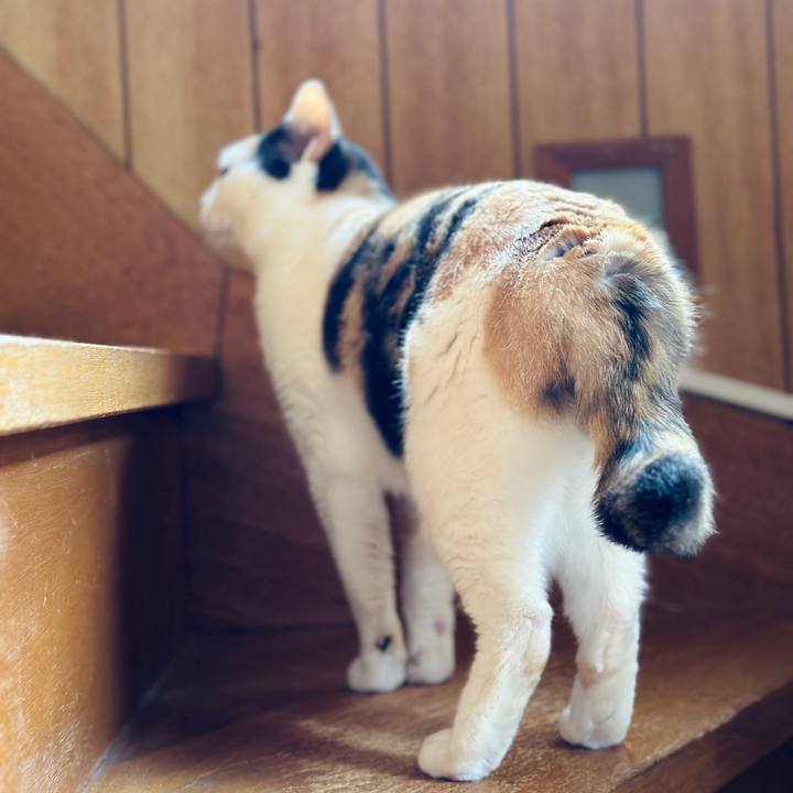 13322d16 15af 4d05 8c2c 7ebfe431ae27 1687743345098