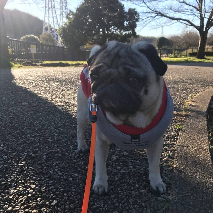 13323276 a716 484a 8ae1 903ccf0ffabe 1511225888005