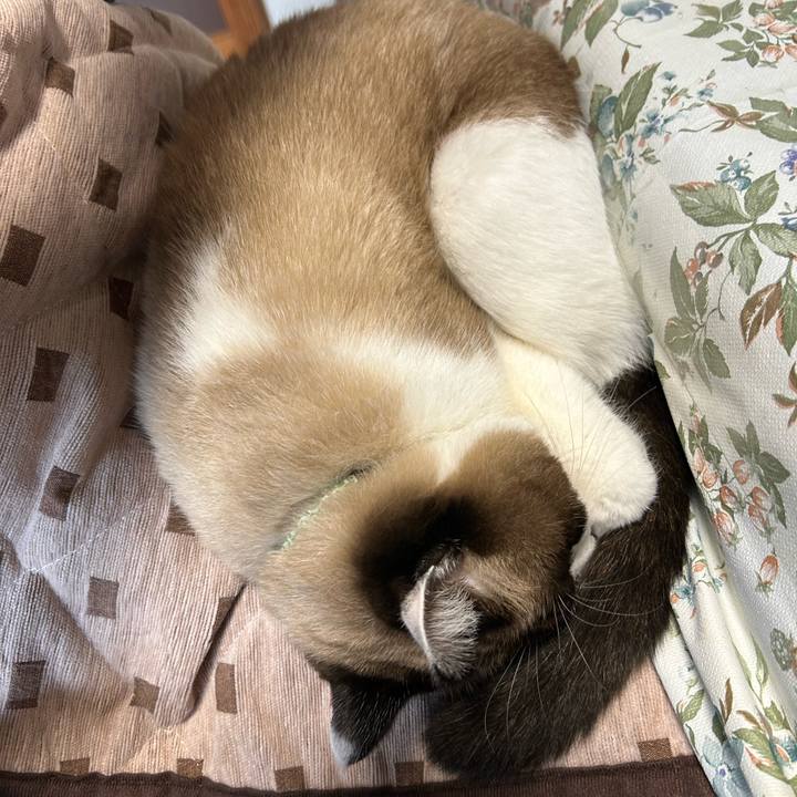 1332a568 b78e 4f24 8033 d12a912977da 1763939667163