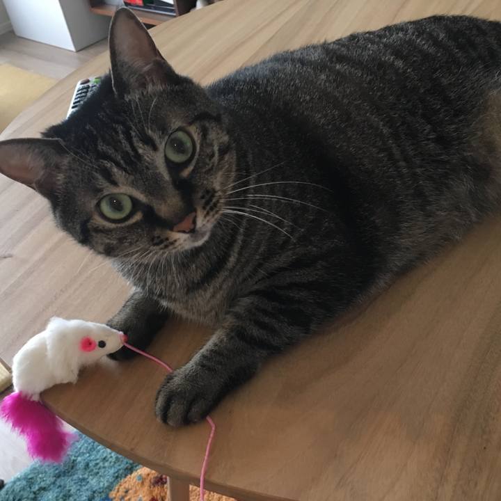 1332e9d6 26c4 4d0f 8b16 1482ab7b1e45 1591229222283