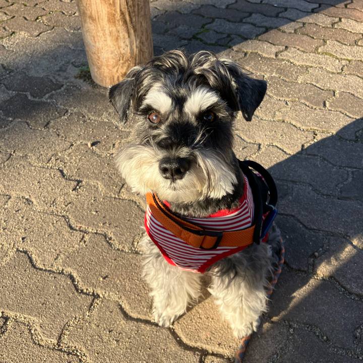 133313d6 ddfc 4bb5 9c40 bb769e2bd10d 1730673627610