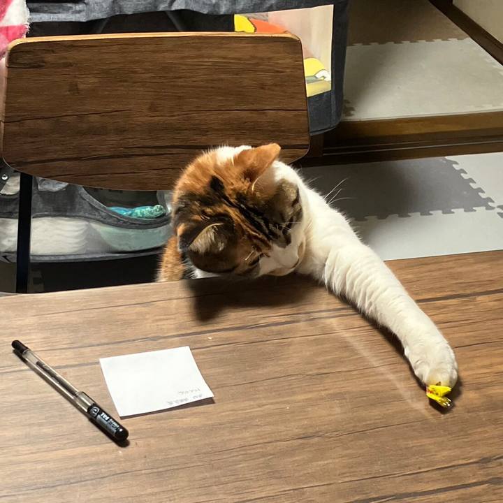 1333180c 773e 4f6e b198 5e8fa55bea9f 1679918874275