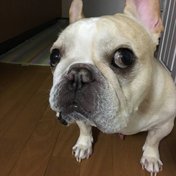 1333224e 36fd 4787 a673 d0fd2a756bab 1511098455252