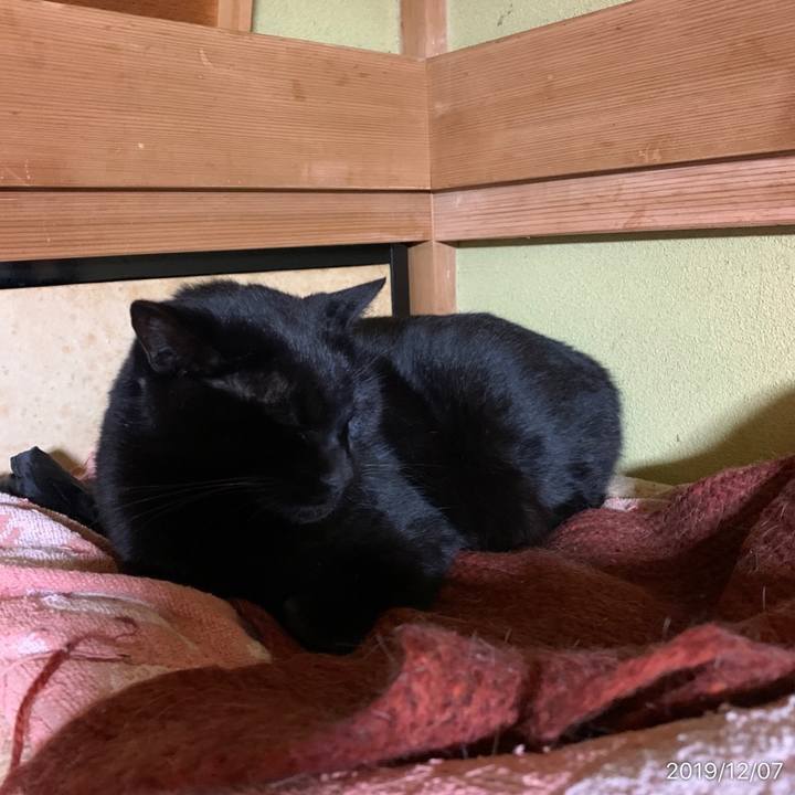 133329a7 8a99 4b9c 9557 23ec24255549 1575692532662