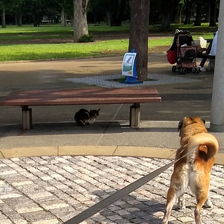 13333837 bf89 4d5c 85d7 01cb6f27be1a 1561508097812