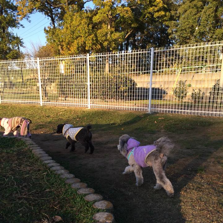 13337a8e f755 4ada 93d0 a72f23a07613 1764030672090