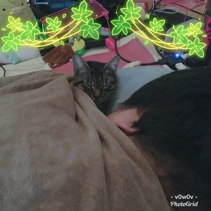 13339b14 4017 443e a28a d5c02e52dfbb 1545714988333