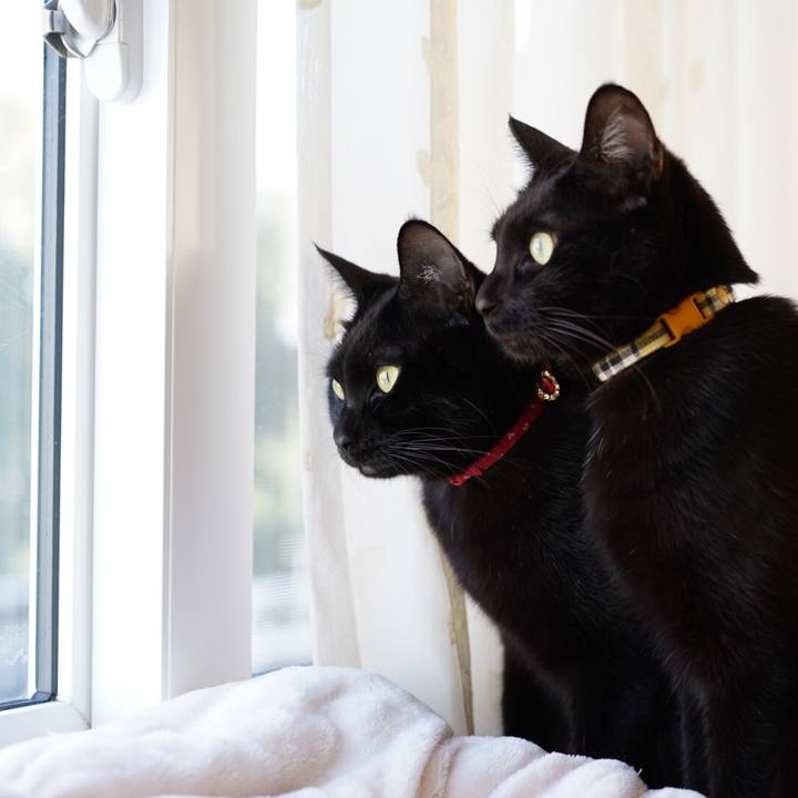 1333a989 3897 4b2f b167 46427ba4f805 1549116920659