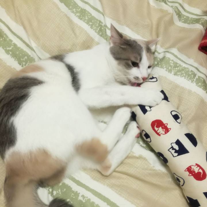 1333dbed 5527 4e4c 9c53 625df990d68c 1523611430616