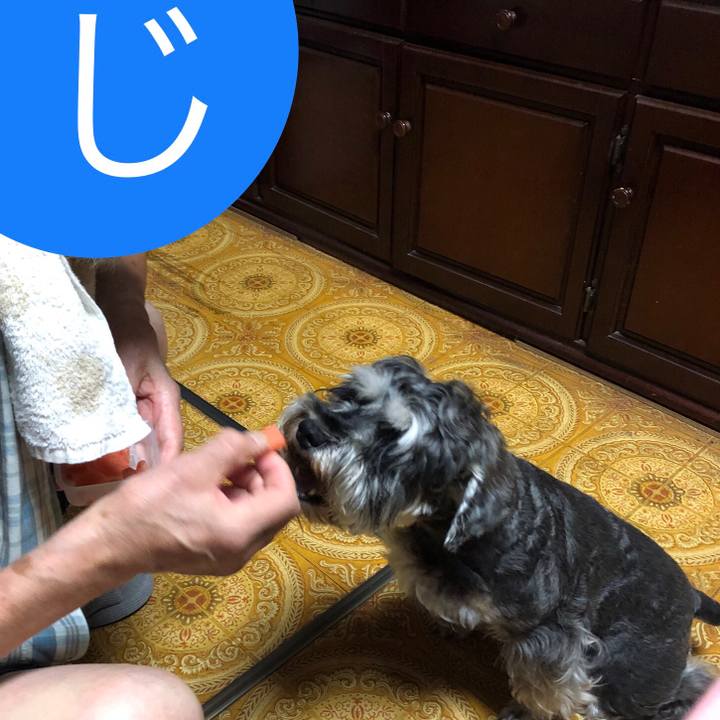 1333fd6e edf4 4975 b545 a3dc9443d218 1629462401402