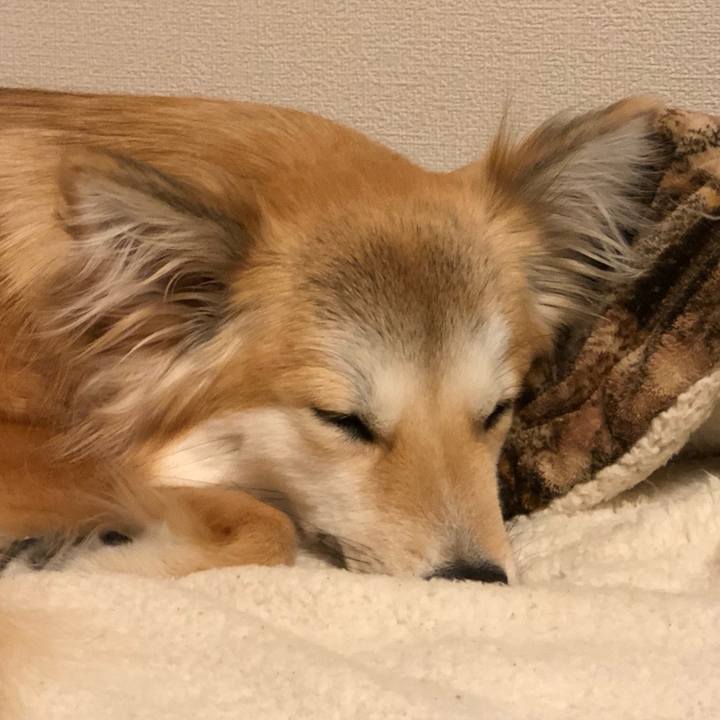 13345b48 95d7 431d 9c15 43626b34edb6 1555068838926